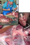 Вакансия обвальщик мяса / Литва